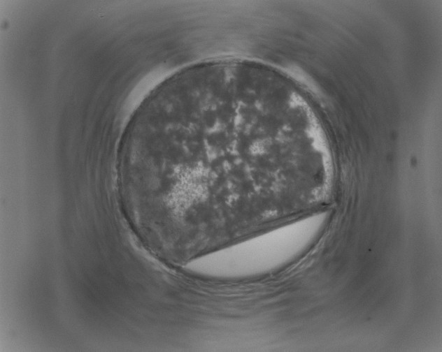 X0000077391279200611101745