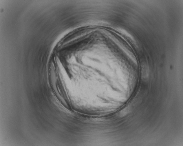 X0000077391280200611101745