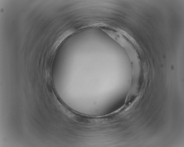 X0000077391281200611101745