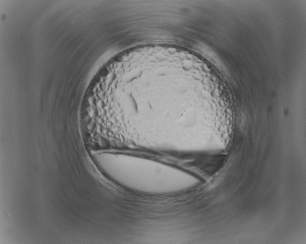 X0000077391283200611101745