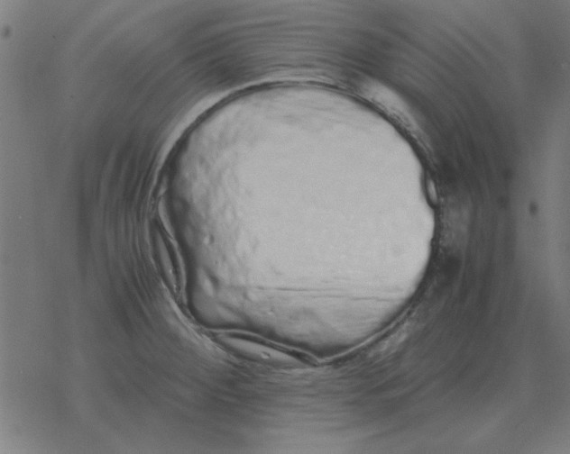 X0000077391284200611101745