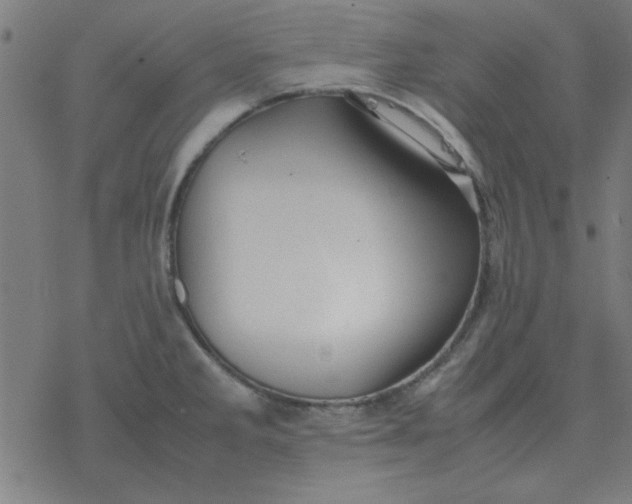 X0000077391285200611101745