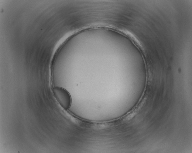 X0000077391286200611101745