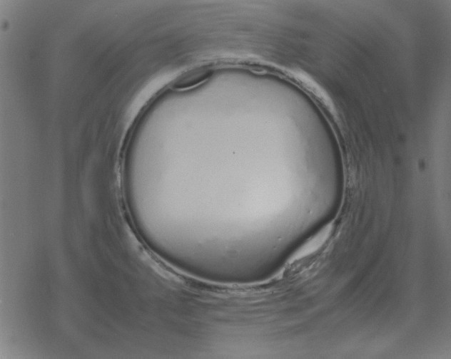 X0000077391287200611101745