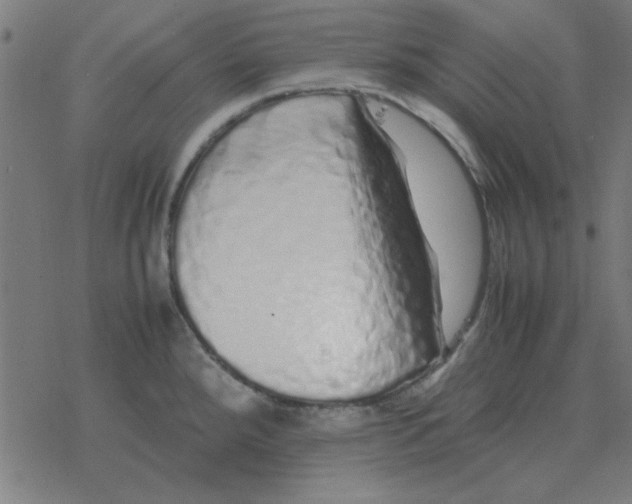 X0000077391288200611101745