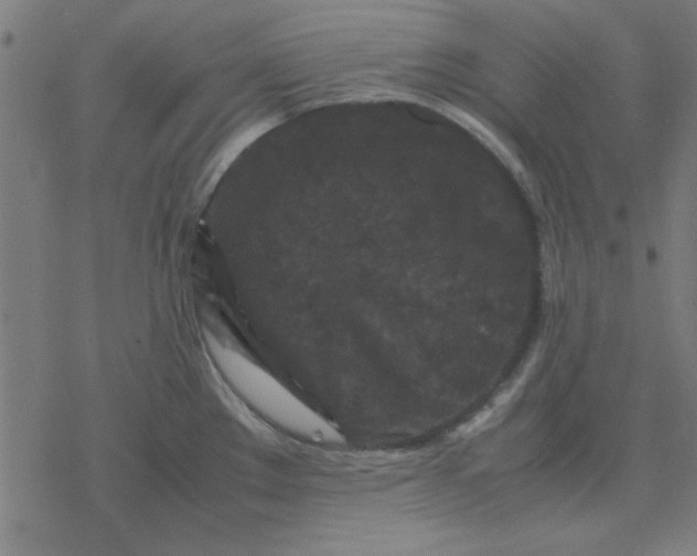 X0000077391289200611101745