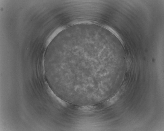 X0000077391290200611101745