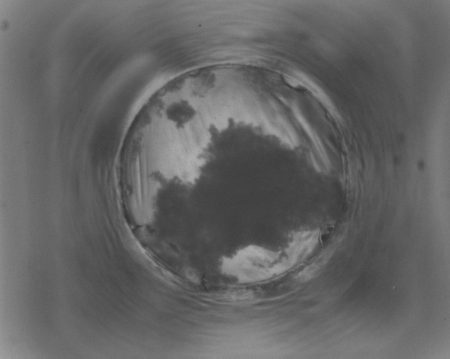 X0000077391291200611101745