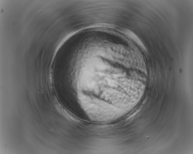 X0000077391292200611101745