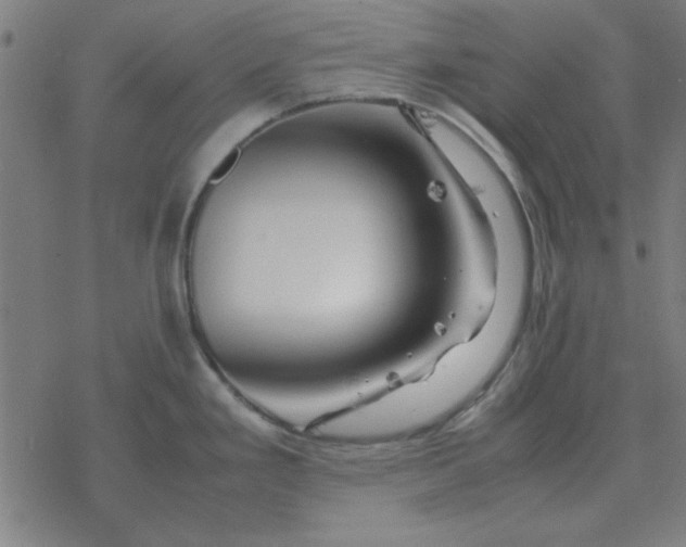 X0000077391293200611101745