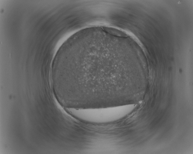 X0000077391295200611101745