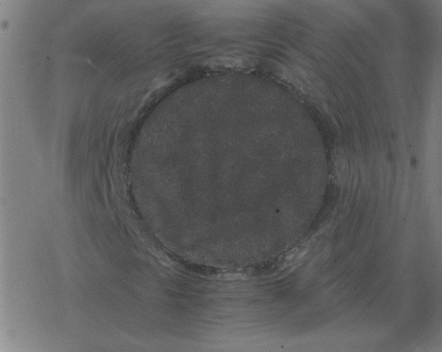 X0000077391297200611101744