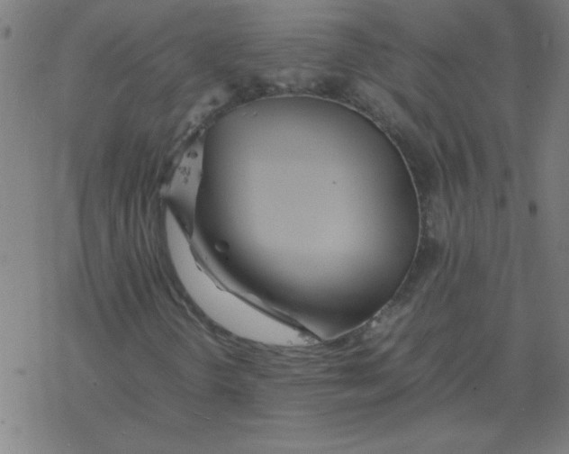 X0000077391298200611101744