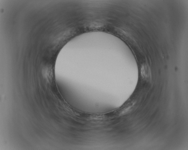 X0000077391299200611101744