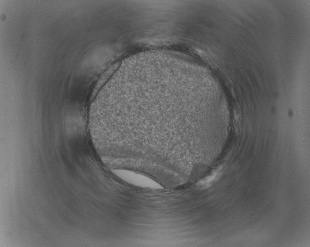 X0000077391300200611101744