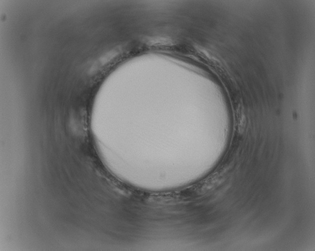 X0000077391301200611101744