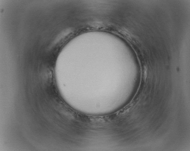 X0000077391302200611101744