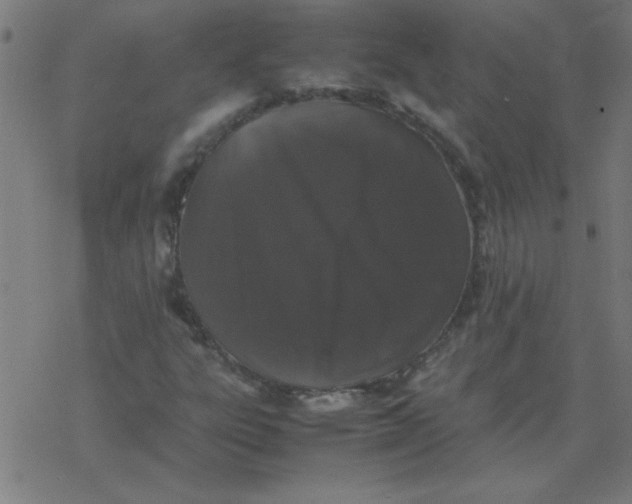 X0000077391303200611101744