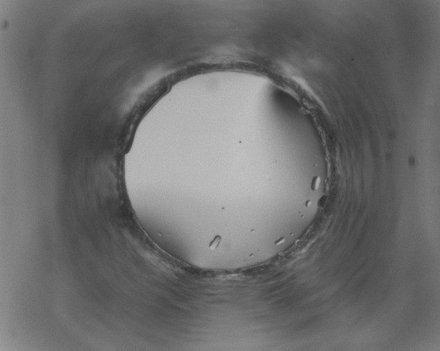 X0000077391304200611101744