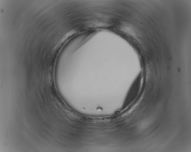 X0000077391305200611101744