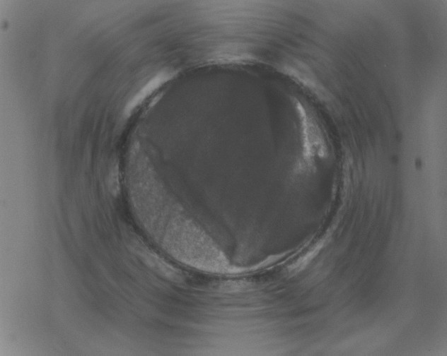 X0000077391306200611101744