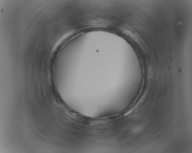 X0000077391307200611101744