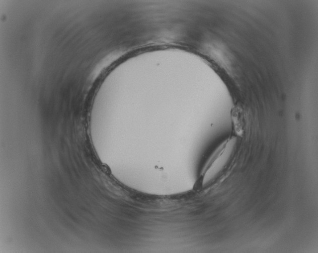 X0000077391308200611101744