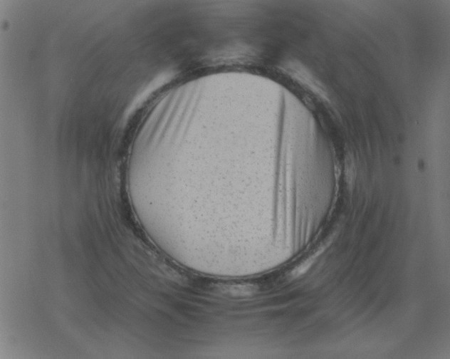 X0000077391309200611101744