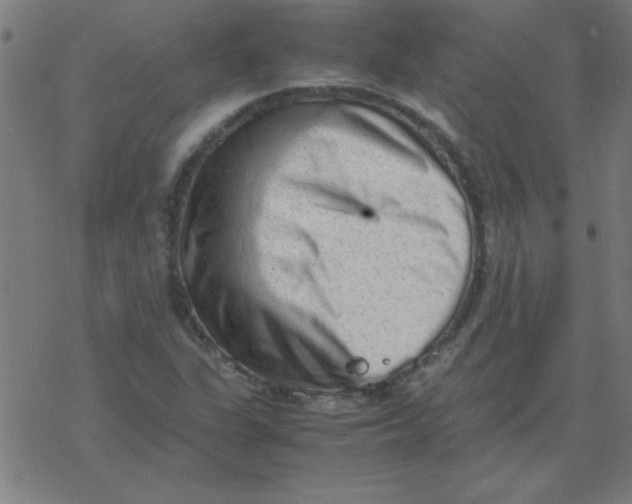 X0000077391311200611101744