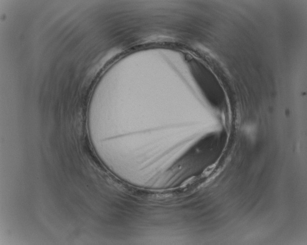 X0000077391313200611101744