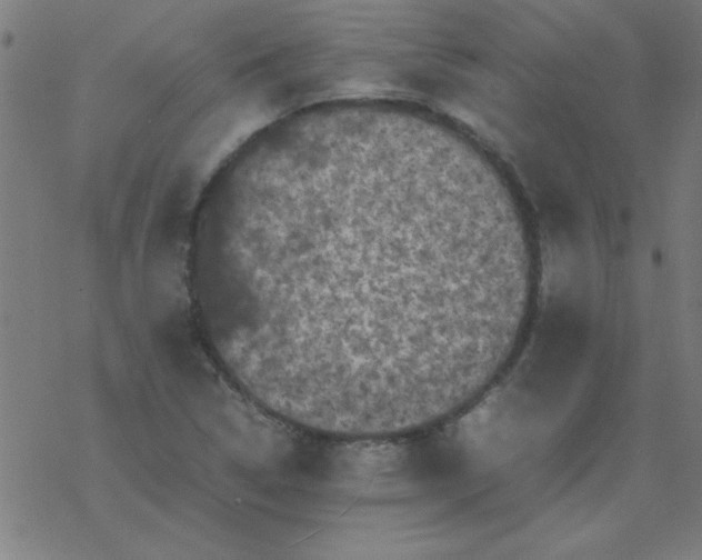 X0000077391314200611101744