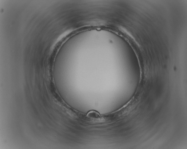 X0000077391315200611101744