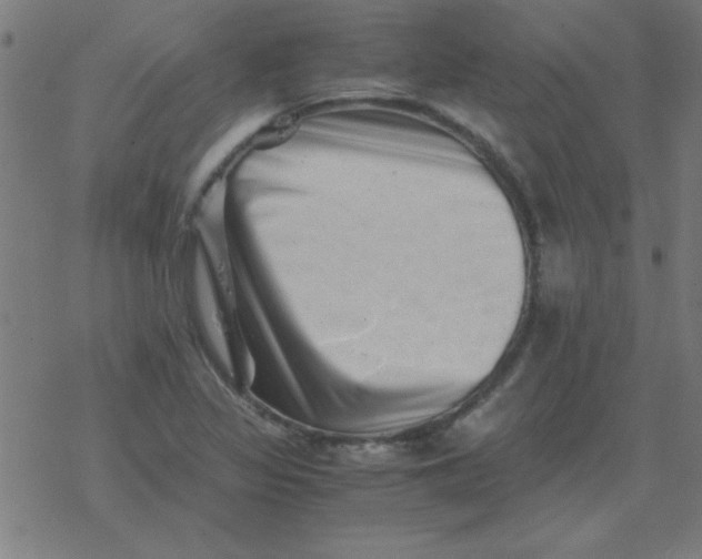 X0000077391317200611101744