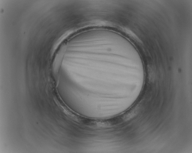 X0000077391318200611101744