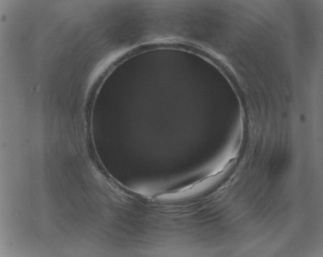 X0000077391319200611101744