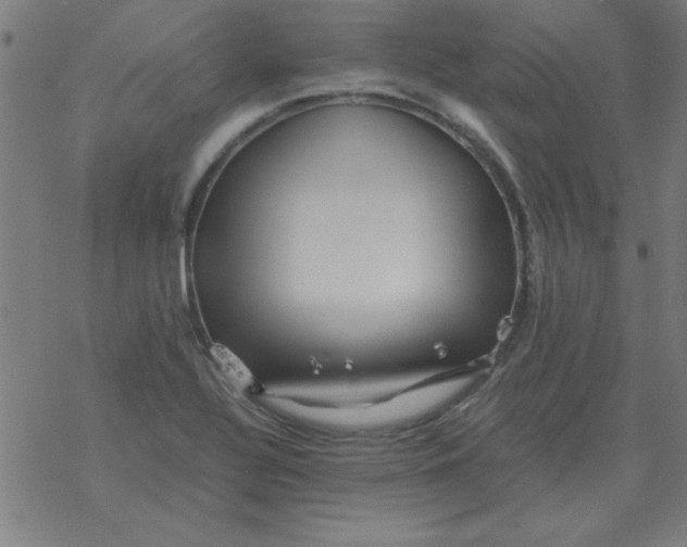 X0000077391320200611101744