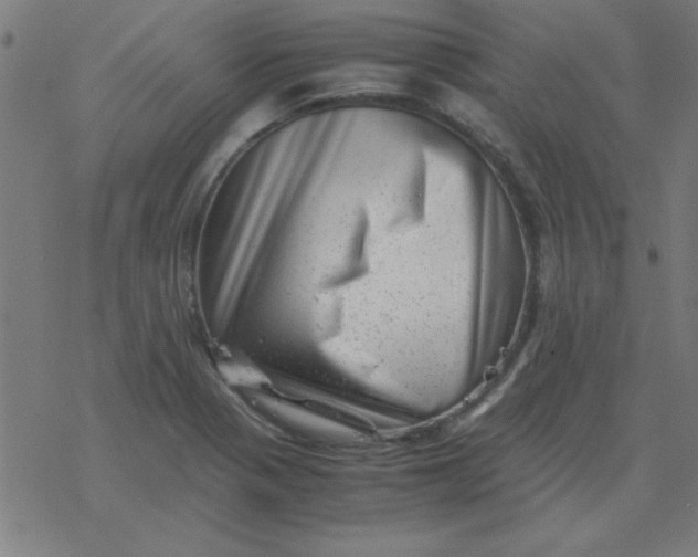 X0000077391321200611101744