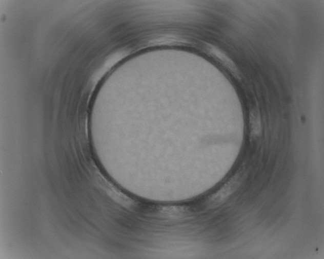 X0000077391322200611101744