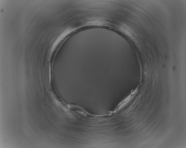 X0000077391323200611101744