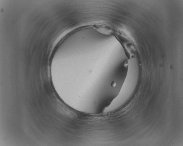 X0000077391324200611101745