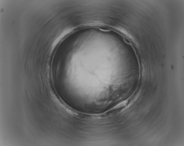 X0000077391325200611101745