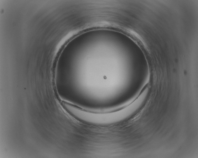 X0000077391326200611101745