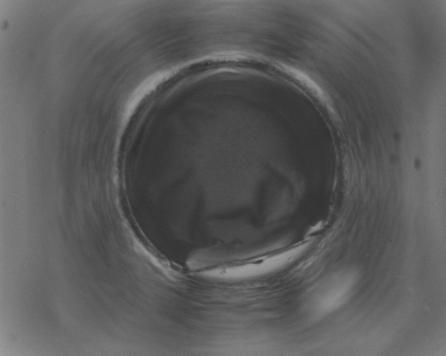 X0000077391327200611101745