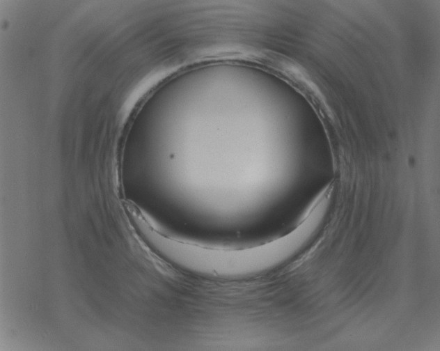 X0000077391328200611101745