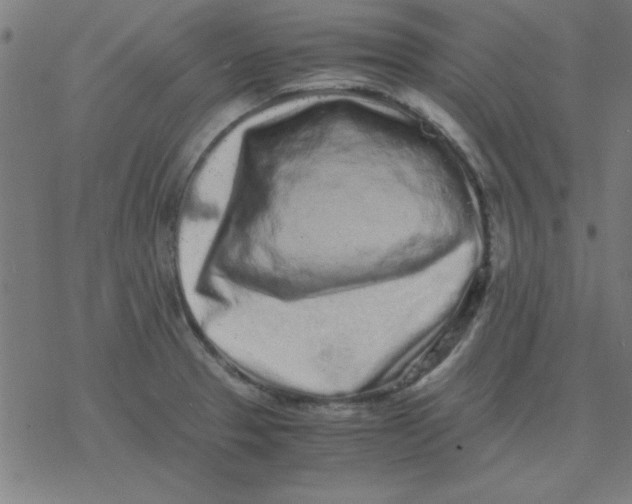 X0000077391329200611101745