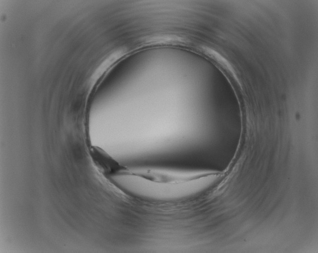 X0000077391330200611101745