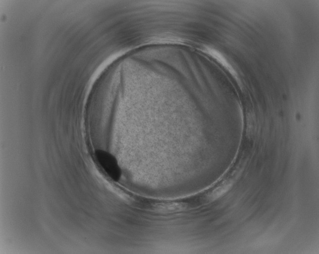 X0000077391331200611101745