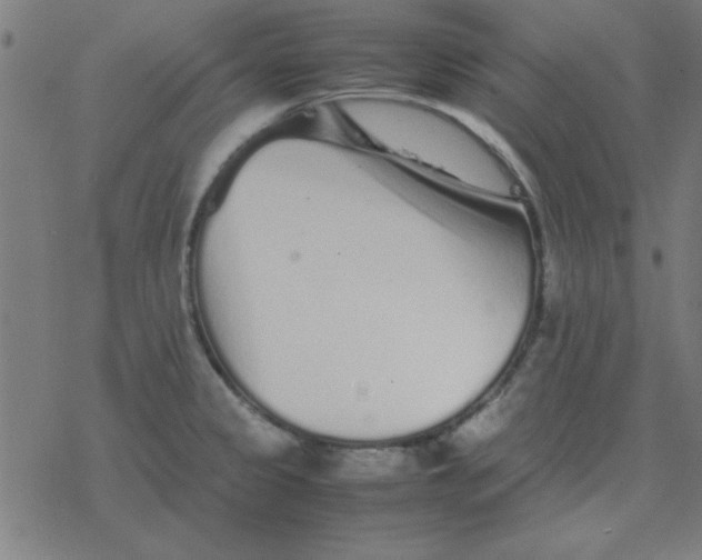 X0000077391333200611101745