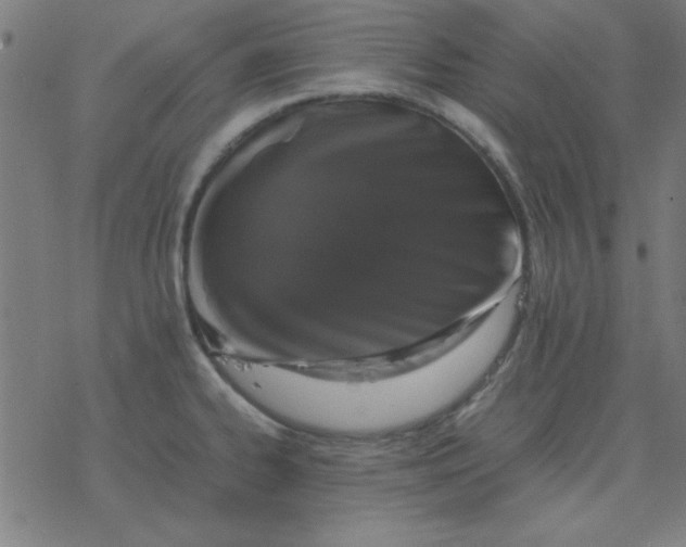 X0000077391334200611101745