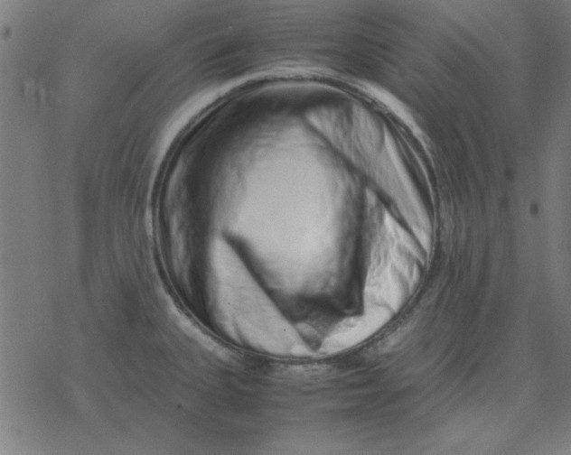 X0000077391335200611101745